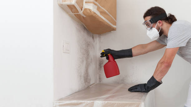 Professional Bathroom Mold Removal technician working in Garden City, GA