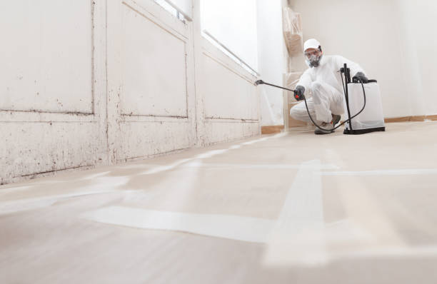 24/7 Emergency Bathroom Mold Removal experts in Garden City, GA